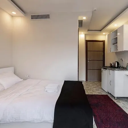 Cozy & Comfy Studio At Beyoglu - 10 Lägenhet Istanbul
